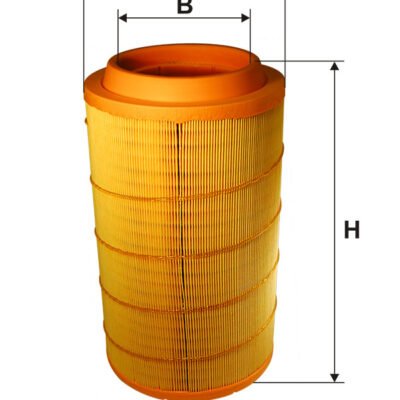 Filtru de aer FILTRON AM 455/5