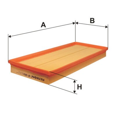 Filtru de aer FILTRON AP 089/1