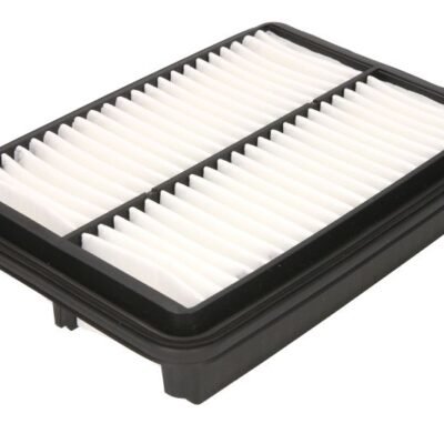 FILTRU DE AER FILTRON AP 177/3