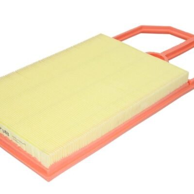 FILTRU DE AER FILTRON AP 183