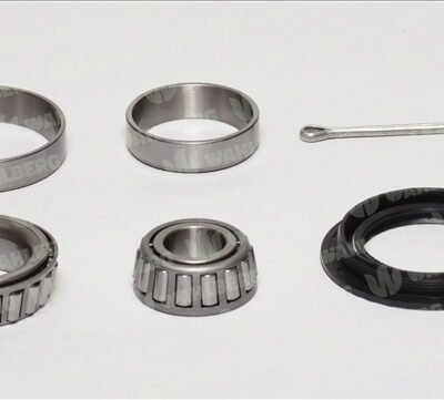 SET RULMENT ROATA WAHLBERG WB99056