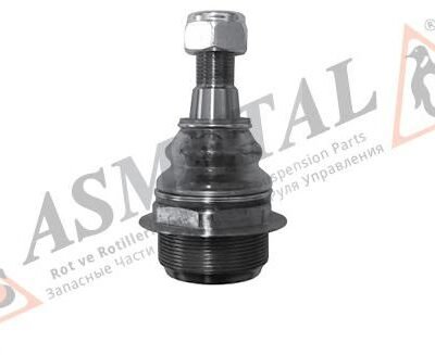 PIVOT ASMETAL 10RN1121